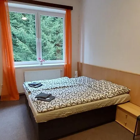 Apartman Novohradky 22 Apartment Benesov nad Cernou Exterior photo