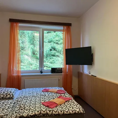 Apartman Novohradky 22 Apartment Benesov nad Cernou Exterior photo