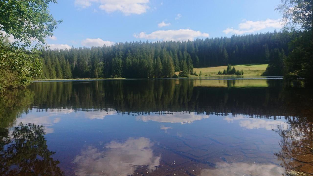 Apartman Novohradky 22